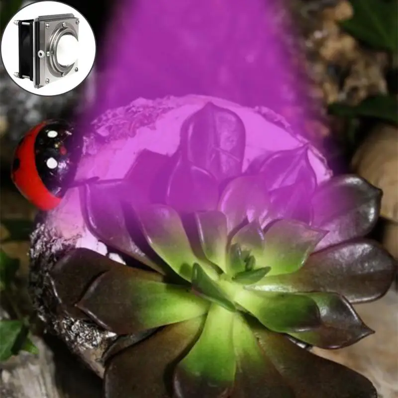 Phytolamp Led IP44 гидропонный светильник для выращивания, светодиодный светильник для выращивания, полный спектр, 220 В, УФ лампа для растений, цветов, рассады, ЕС, Австралия, Великобритания, США