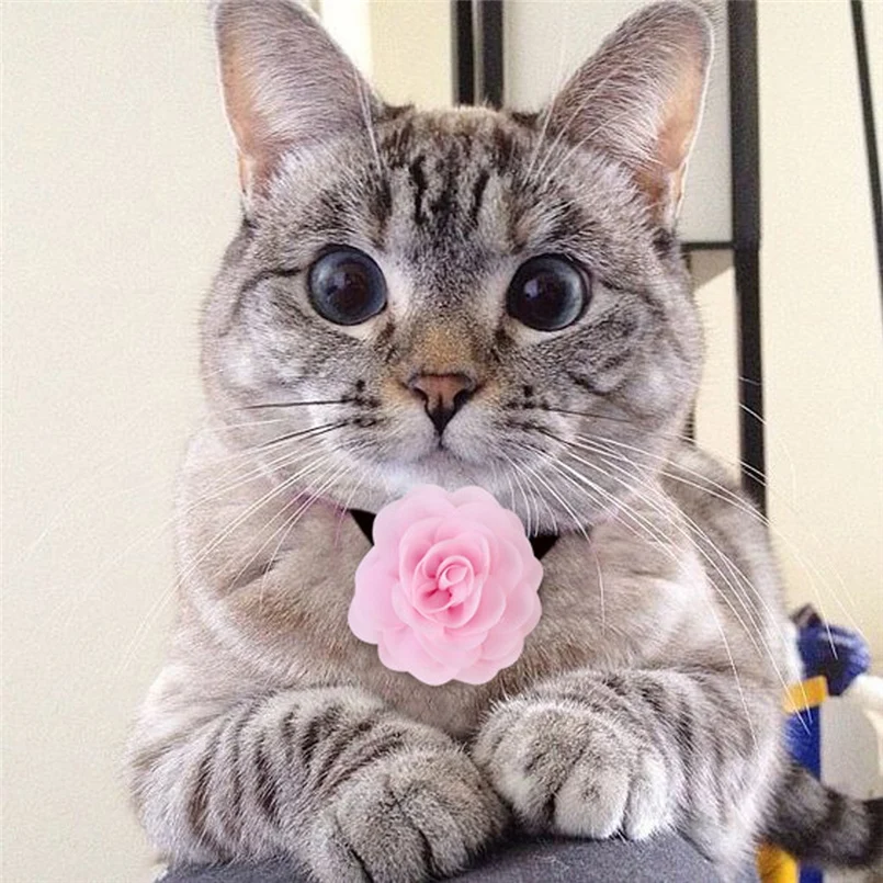 8cm Pet collar decoration big flower pet cat dog decoration flower party headwear pet collar accessories 30N11 (10)