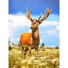 Алмазная картина ZOOYA, полная квадратная Алмазная вышивка, картина, стразы, олень, красивый лес, два оленя, мозаика, рукодельная, SF139 - Цвет: SF139-8