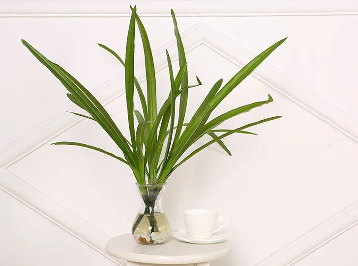 Искусственные зеленые листья шелк cymbidium лист Имитация Поддельные растения Цветок Аксессуары Свадебные DIY украшения для дома и офиса стол