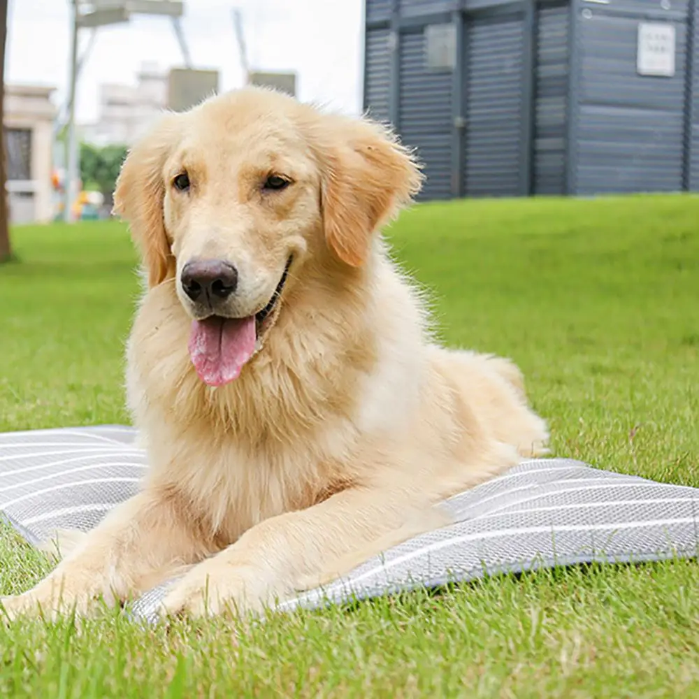 Коврик для льда домашних животных охлаждающие маты холодный шелк портативный