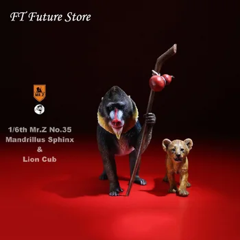 

In Stock 1/6 Figure Scene Accessories Mr.Z MRZ035 Mandrill&Lion Cub Figure Set Simulation Animal Model for 12'' Action Figure