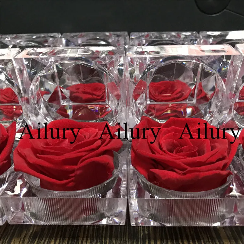 3-4cm 4 years warranty Red Eternal Flower Ranking TOP20 Ring Box Real Mini Present Natural Rose