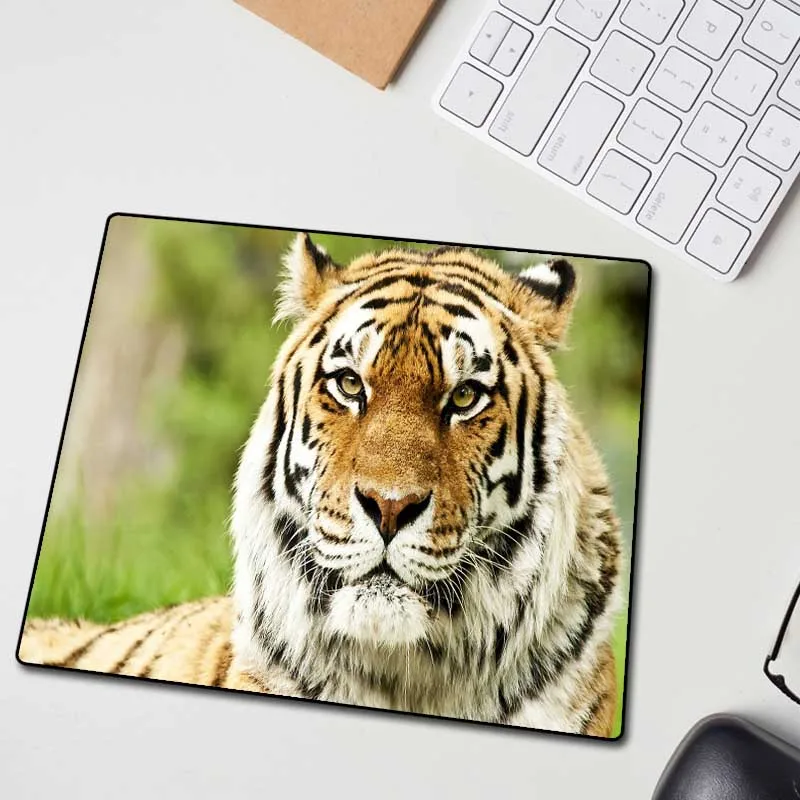 XGZ Animal Lightning Wolf Large Mouse Pad Lock Edge Custom Office Computer Keyboard Desk Mat Rubber Non-slip 900x400/900x300 Xxl