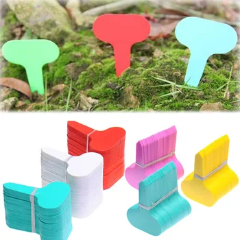 

Gardening Card Tags For Plants Flower Label Fruit Vegetable Seedling Tag Waterproof PP plastic label 100 PCS DA