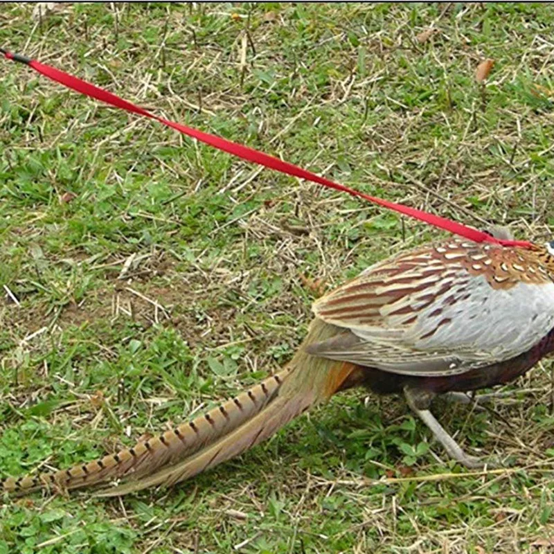 ПЭТ шлейка для птицы и поводка, регулируемая попугай шлейка для птицы поводок-ПЭТ анти-укус тренировочный канат открытый Летающий жгут и поводок