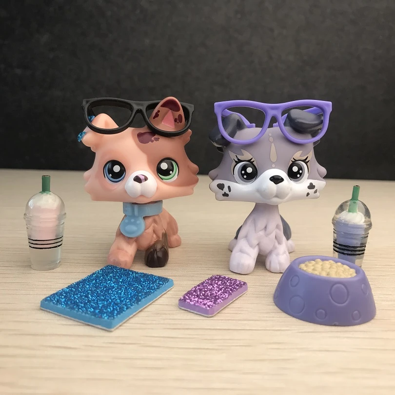 Do Blue Eyed Dogs Need Sunglasses