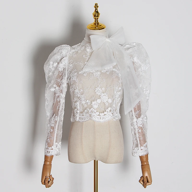 white TWOTWINSTYLE кружевная вышивка перспективная рубашка для женщин стоячий воротник слоеный длинный рукав Тонкий Блузки Женская модная одежда - Цвет: white