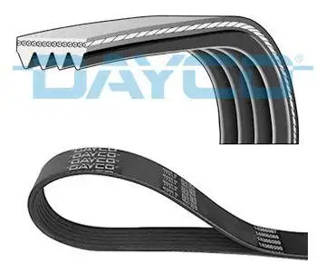 Ремень ручейковый 4PK788 (Dayco)|Радиаторы и запчасти| |