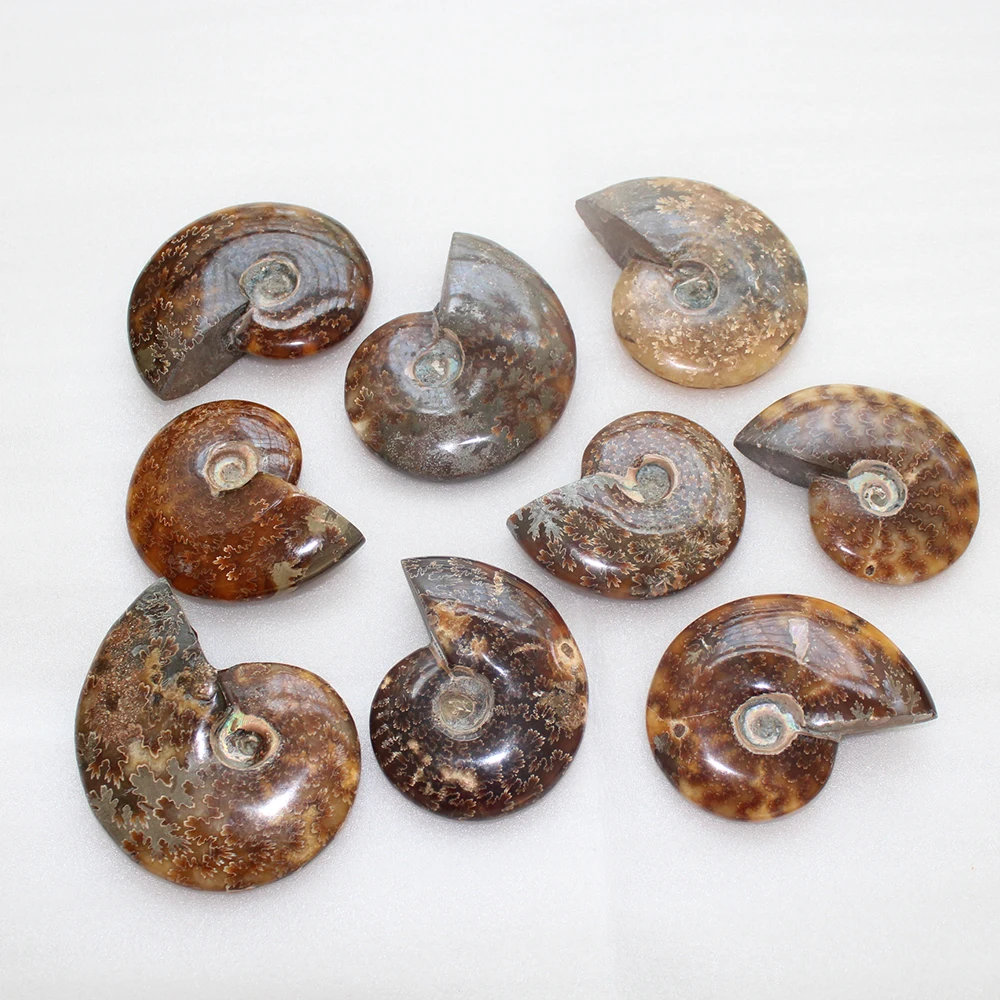 Runyangshi 1 шт. аммонит окаменелость conch образец Мадагаскара черный металлический стенд кварцевый кристалл для заживления