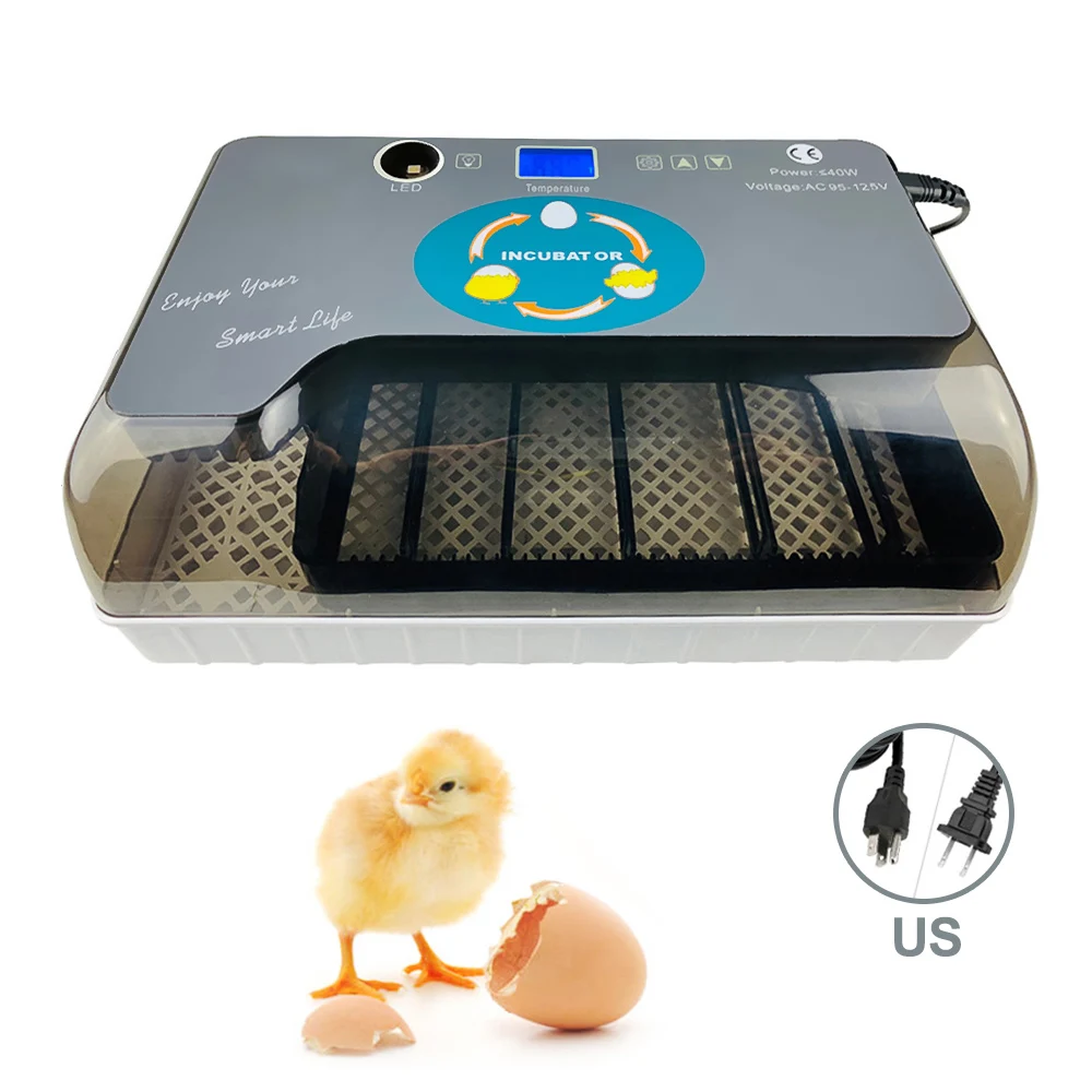 JuneJour новейшая лучшая ферма инкубатория машина 12Egg инкубаторы дешевая цена автоматический; для курицы инкубатор яиц Китай для продажи перепела - Цвет: US