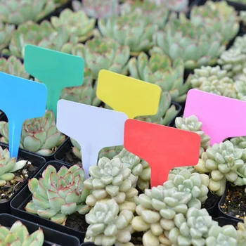 

Plant Tags Gardening T Shape Waterproof Tag Mark Garden Tools Seedling Tray Flower Vegetable Planting Label Tool Farm 100pcs