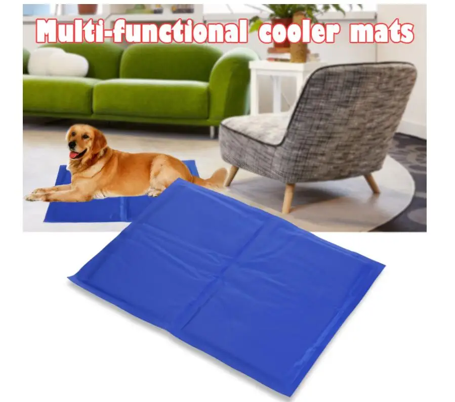 QQ截图20190816052516