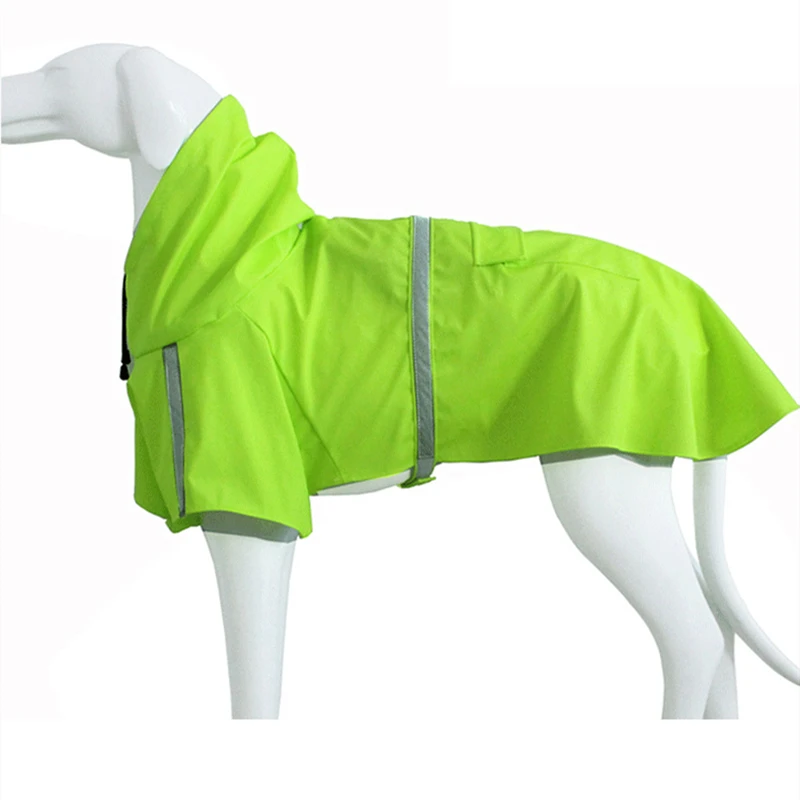 dog raincoat green