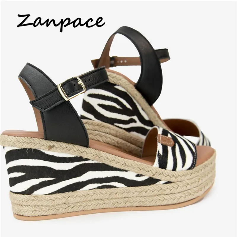 congo%20zebra%203