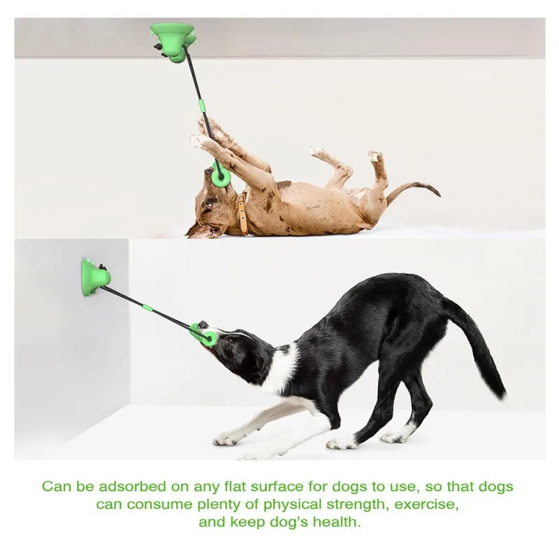 dog toy suction cup