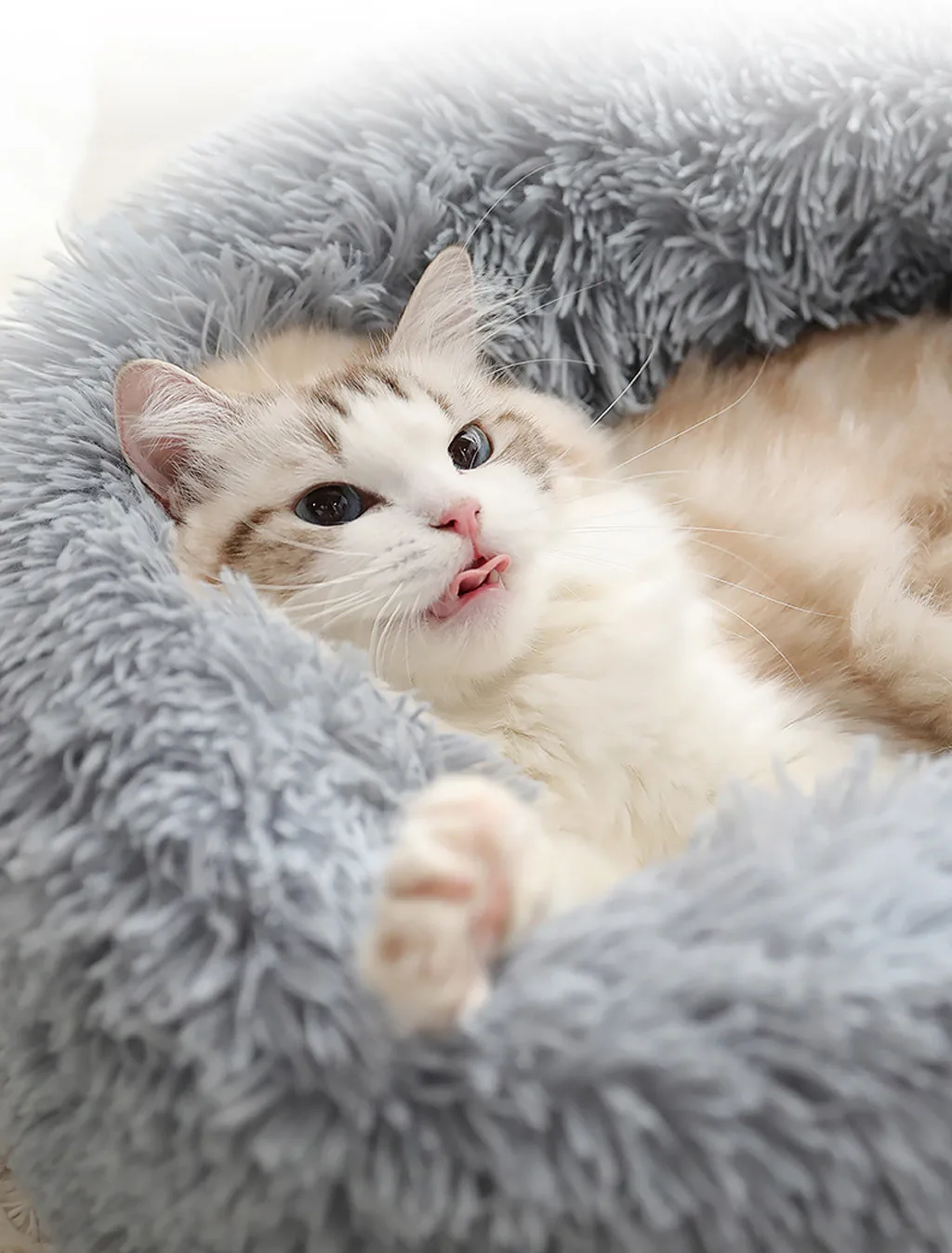 Круглый зимний теплый спальный мешок для собаки, кошки, длинная плюшевая супер мягкая кровать для питомца, Успокаивающая кровать, подушка для щенка, переносные принадлежности для кошек