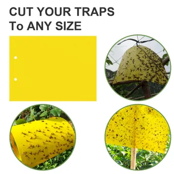 

5/10/20/30/50PCS Dual-Sided Sticky Traps For Flying Plant Insects Like Fungus Gnats Whiteflies Aphids Leaf Miners Thrips 2020