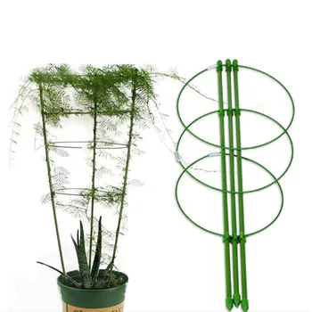 

Plant Support Cages, Portable Tomato Cage Plant Climbing Frame with Self Watering Spikes and Clips