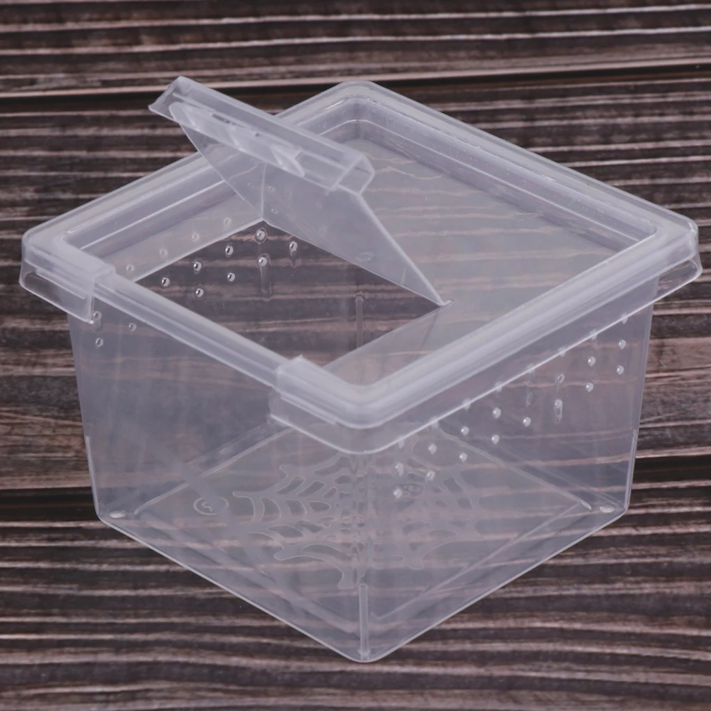 10pcs Feeding Box Reptile Cage Hatching Container Rearing Tank for Lizards Terrarium Tortoise Spider Beetle Insect House