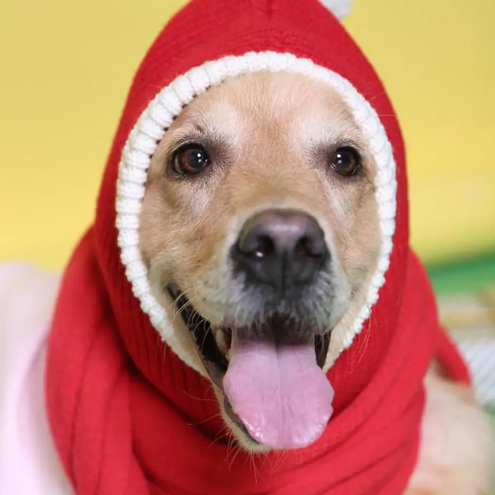 Теплая Милая шапка Санты для собак, зимняя Рождественская шапка для собак Шиба ину, французский бульдог, Тедди, Бишон, золотые рождественские аксессуары