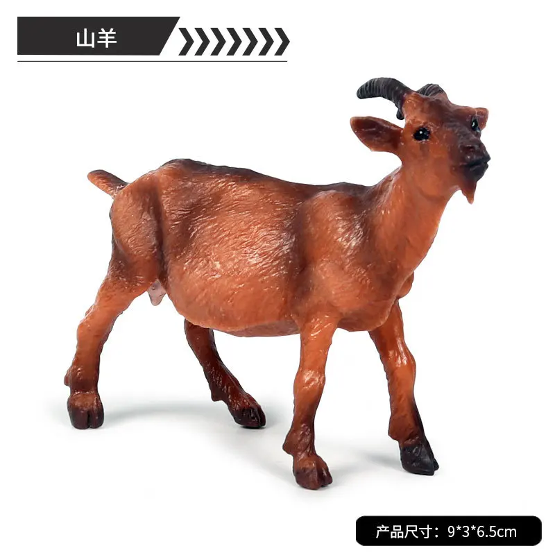 10805741328_1464955482