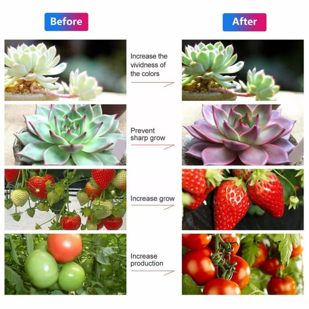 LED Grow COB Chip Full Spectrum LED Grow Light Phyto Lamp AC 110V 220V 20W 30W 50W For Indoor Plant Light Seedling Lamp