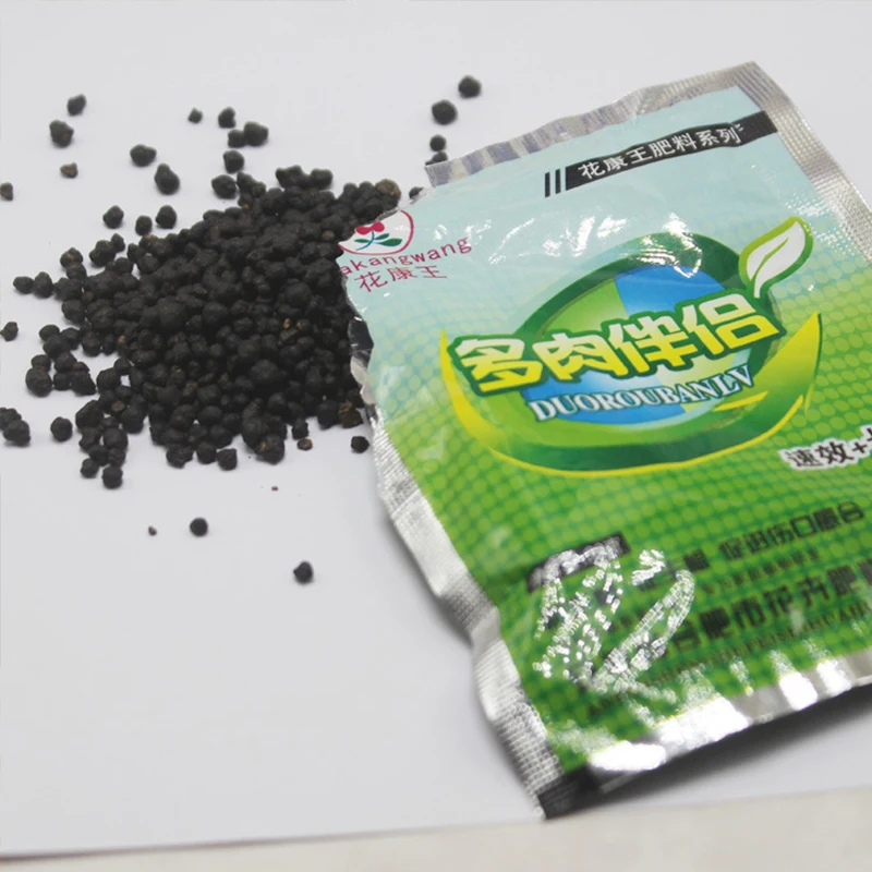 5136237328_1582785472