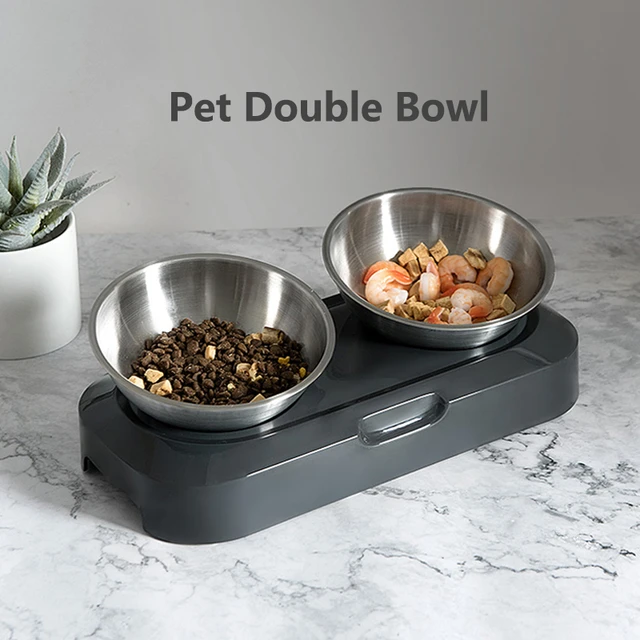 PETKIT Raised Dog Cat Food Bowl 304 Stainless Steel, Elevated Pet Food and  Water Bowl Dishes, Elevated Cat Bowls, Non-Slip Tilted Cat Bowl No Spill