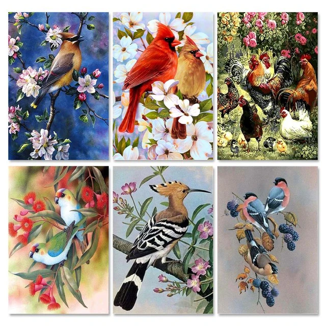 CHENISTORY Oil Painting By Numbers On Canvas Birds Number Painting For  Adults Kids Home Decors Gift Handpainted Acrylic Paints - AliExpress