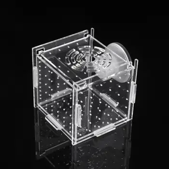 

2020 New Aquarium Fish Breeding Isolation Box Baby Fish Incubator Hatch Breeder Fish Tank