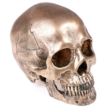 

1PCS Bronze Resin Skull Model Sculpture Statue Crafts Halloween Home Decoration Painting Medical Model