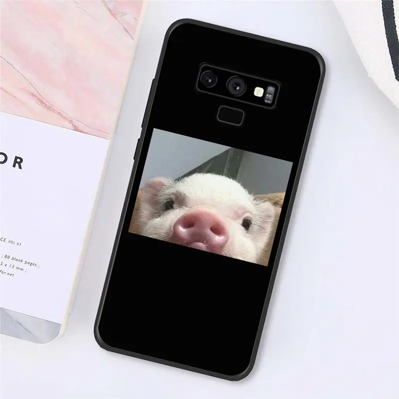 Cute Little Pink Pet Pig