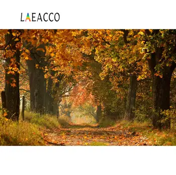 

Laeacco Autumn Forest Old Trees Maplese Way Natural Scenic Photography Backgrounds Photographic Backdrops For Photo Studio