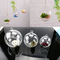 1Pcs Clear Glass Ball Globe Shape Terrarium Ball Flower Hanging Planter Terrarium Container Landscape Ornament Garden Decor - Image 4