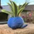 Oddish Planter Oddish Flower Succulent Succulent Flower Pot Plant Pot Planter Pokemon pot Dropshiping