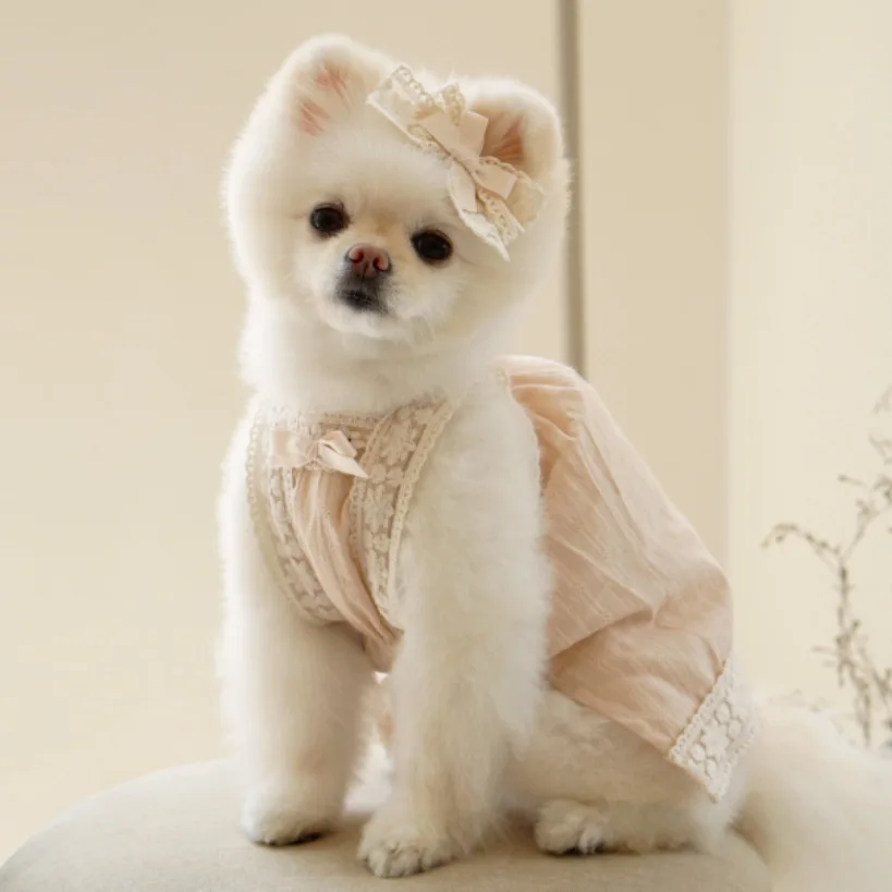 Summer Dog Dress Puppy Clothing Lace Sling Dog Dress For Small Dogs Girl Spring Skirt Bichon Teddy Pet Wedding Skirt