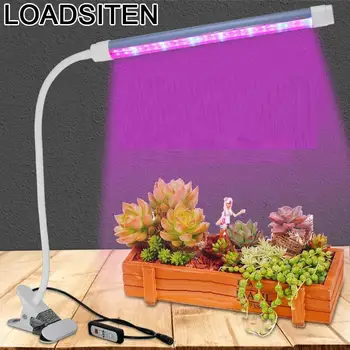 

Growing Lamp Cob Kweektent Tent Hydroponics For Seeds Flower Mastergrow Carpa Cultivo Box Indoor Led Grow Plant Light