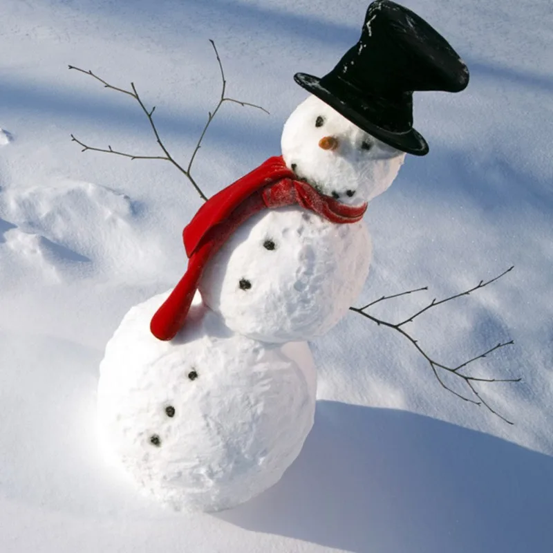 

Family Kid Children Snowman Making Tool Christmas Winter Snowman Building Tool Kit Wooden Nose Scarf Hat Set for Christmas Decor