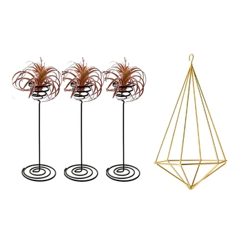 

4x Air Plant Stand Holder Air Plant Base Container Tabletop Planter Tillandsia Planter Racks