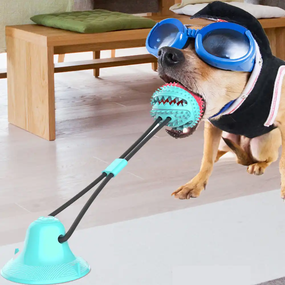 suction cup tug dog toy