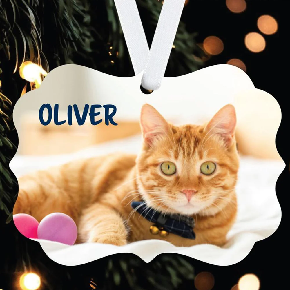 Памятное украшение для домашних животных подарок потери память о кошке с