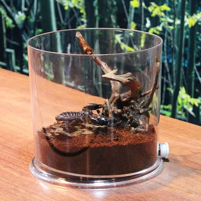 

Creative Desktop Small Fish Tank Goldfish Tank Turtle Tank Reptile Feeding Box Plastic Tank Ecological Landscape Tank