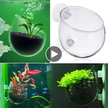 

1Pack Aquatic Plant Glass Cup Pot for Aquarium Fish Tank Aquascaping Crystal Cup Holder
