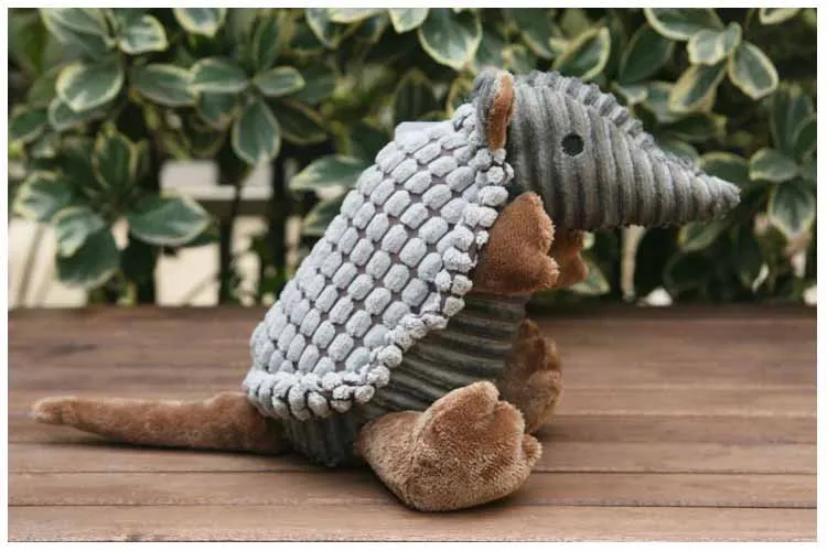 10211245731_21825055