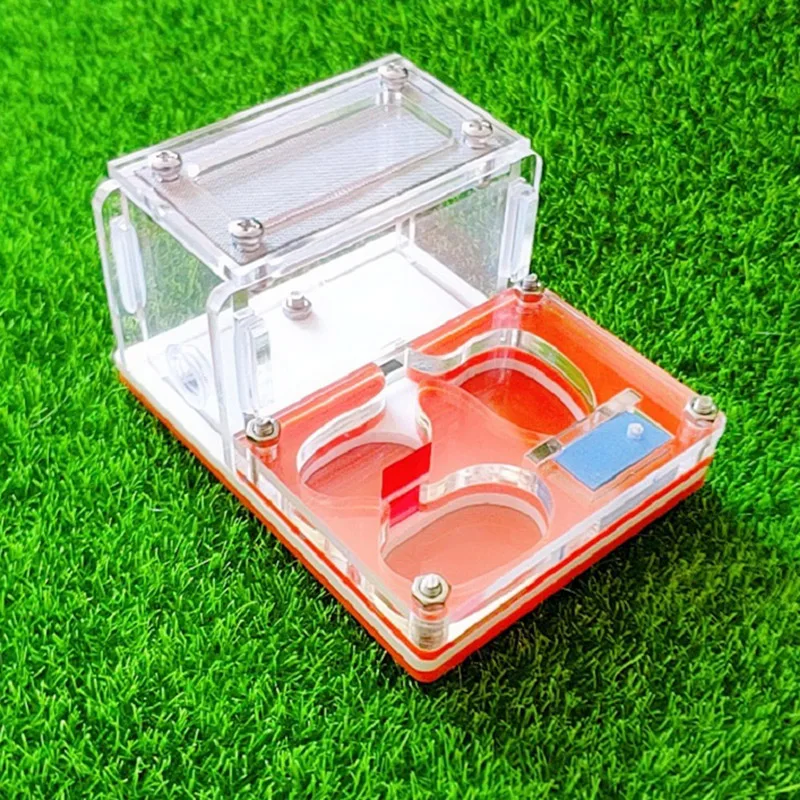 Nido de hormiga acrílico, minigranja de hormigas, taller, regalo para mascotas, 9x7x4,5 cm