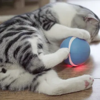 

Smart Interactive Cat Toy 360 Degree Self Rotating Ball Cat Toy Cute for Cat Dog YU-Home