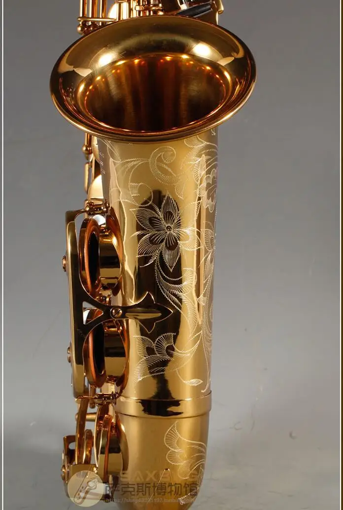 Top France Rollinsax Q3 Alto E Flat Saxophone Brass Instruments Body Gold Lacquer for Adult Alto Saxophone with Leather Case