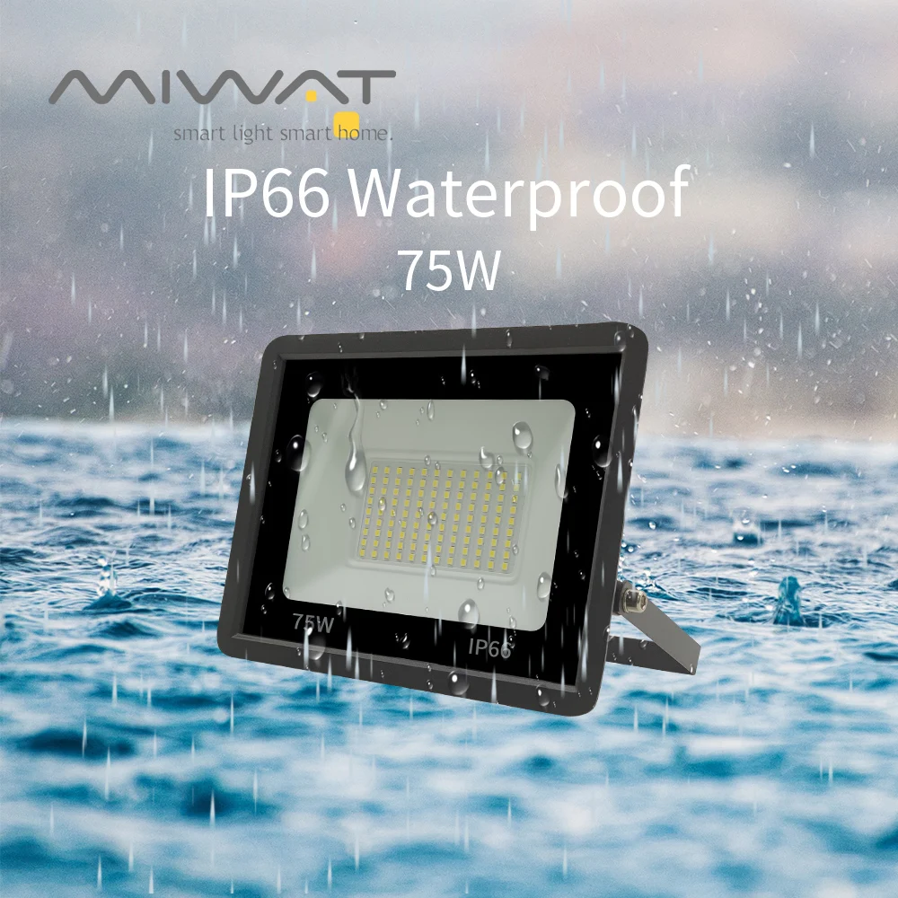 Светодиодный прожсветильник Тор 220 В 10 Вт 20 30 50 100 120 высокая яркость IP66