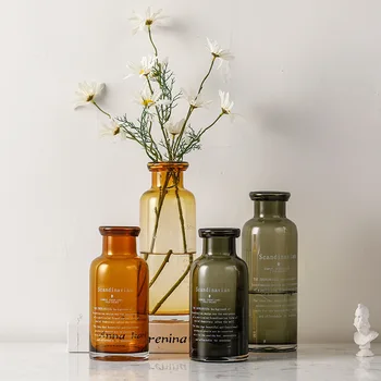 

Nordic Minimalist Glass Transparent Vase Home Dining Table Decorations and Ornaments